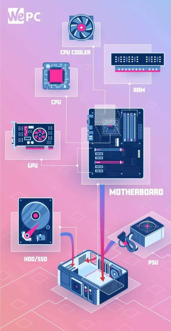 infographic of the anatomy of a pc