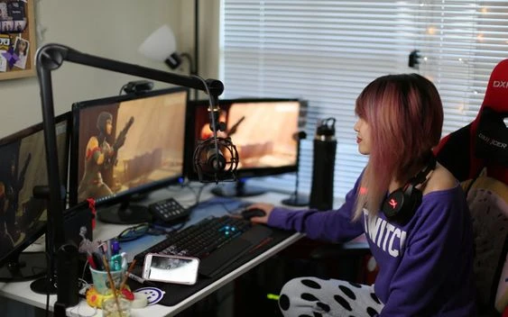 Twitch Streamer