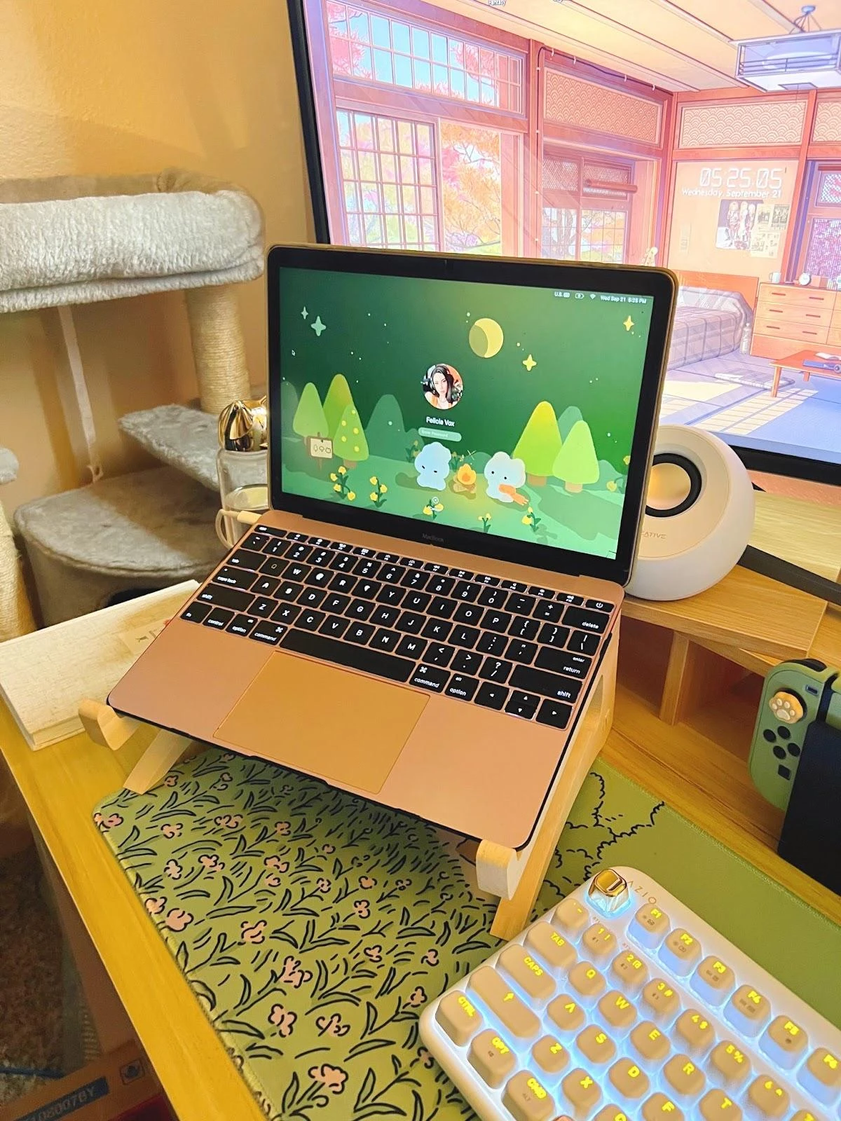 Portable Laptop Stands for Schoolworks