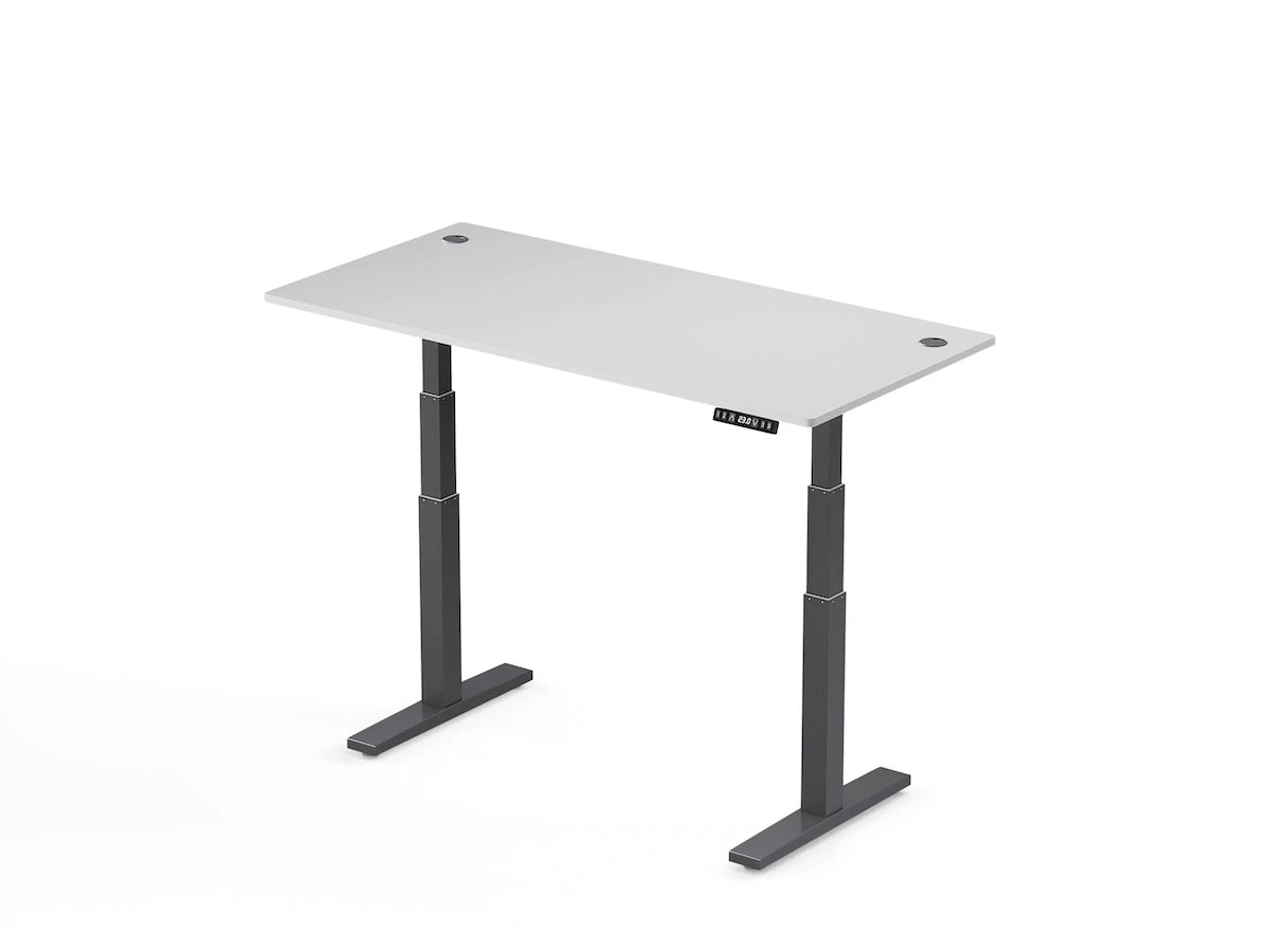 Electric Standing Desk - Direction Desk Laminate Desk - Dynamic Setups