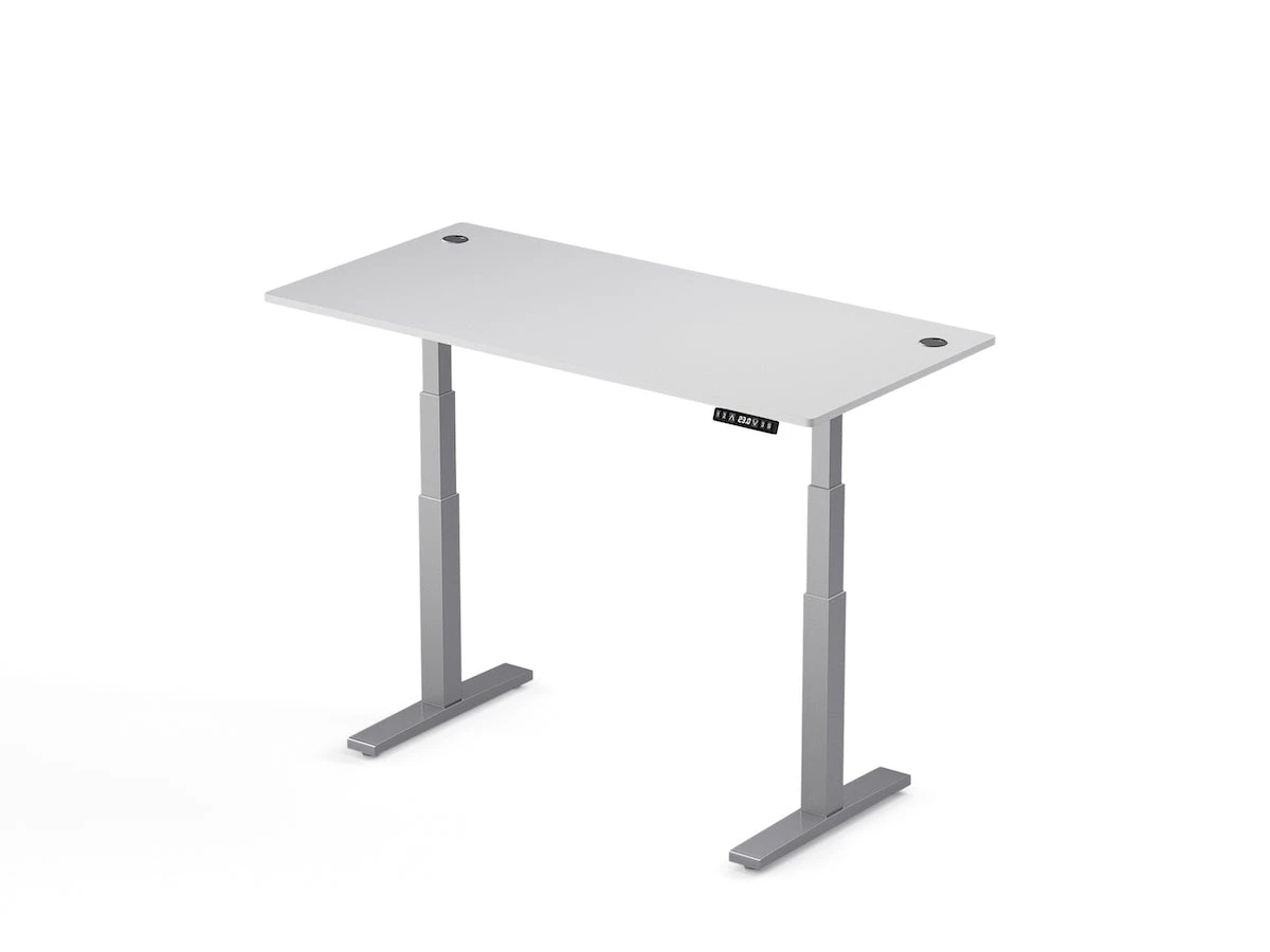 Electric Standing Desk - Direction Desk Laminate Desk - Dynamic Setups