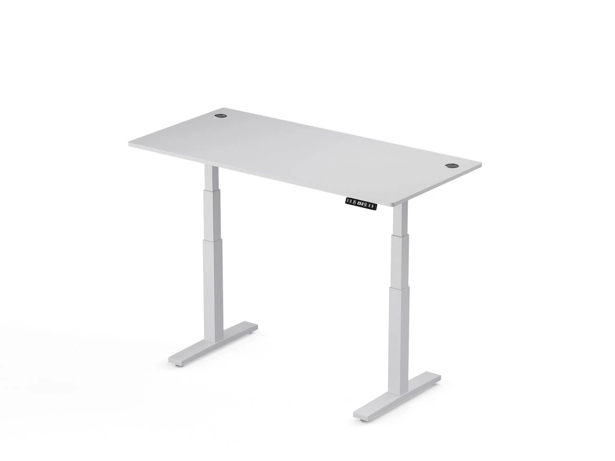 Electric Standing Desk - Direction Desk Laminate Desk - Dynamic Setups