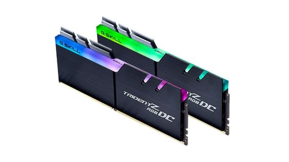 Random Access Memory (RAM)
