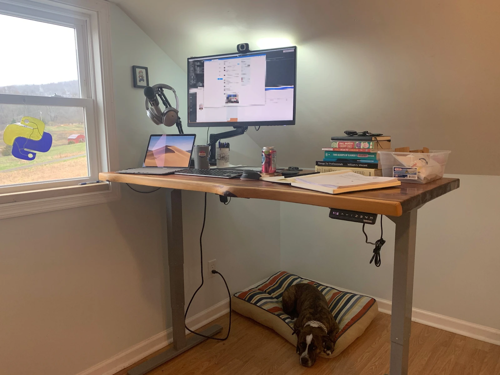 work from home essentials