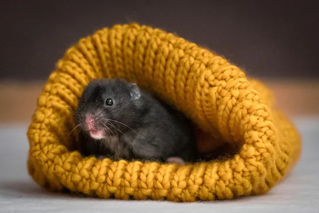 MS BLACK BT MOUSE